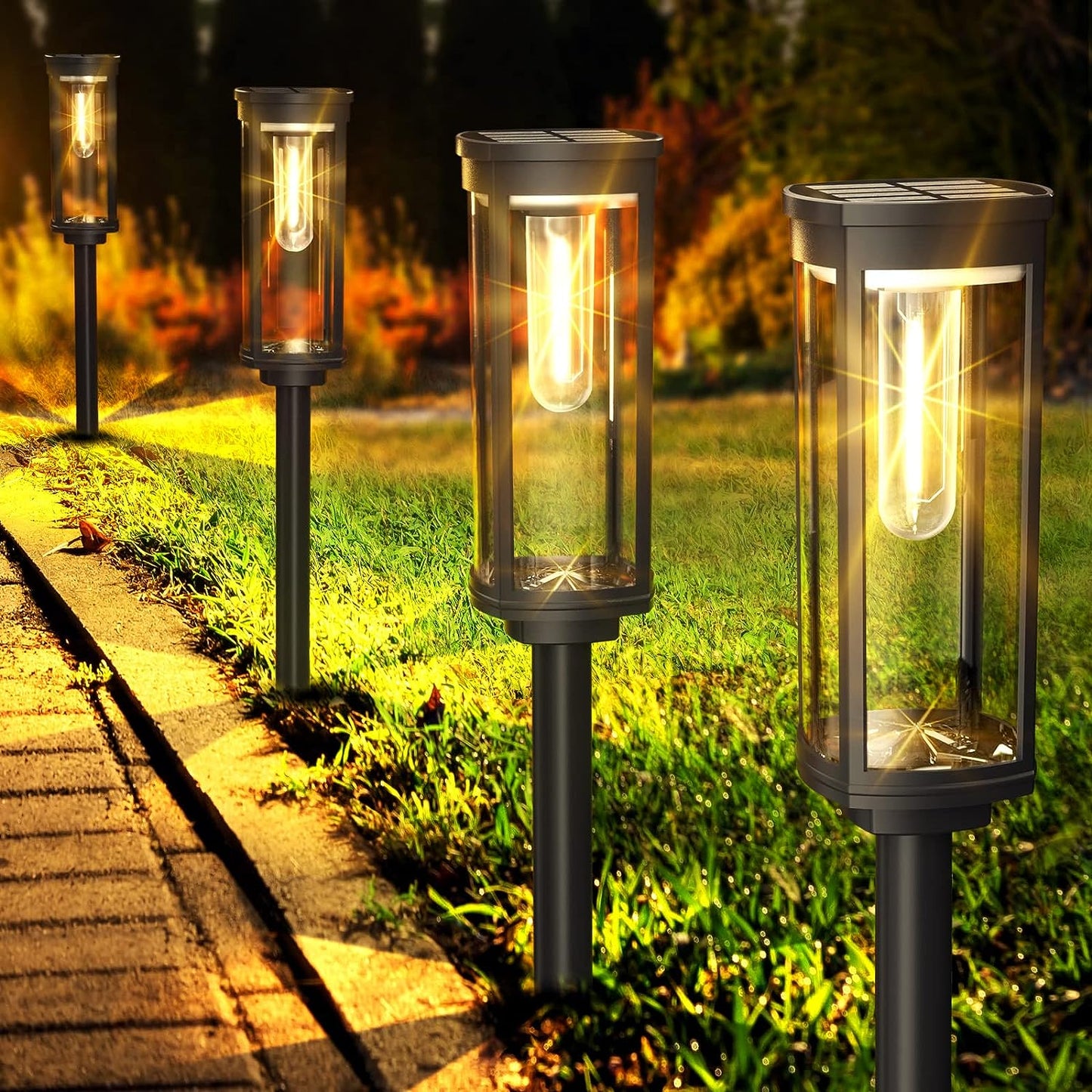 Warm White Pathway Lights